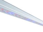 LED-belysning för horisontell odling IP66 1215x26,4x27 mm 36W