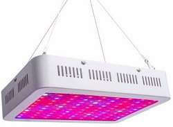 LED växtbelysning hydroponic fullspektrum 100W -Utgående artikel