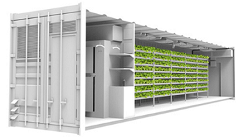 Containerodling TRGSYSTEM plantproduktion OPCOM Hydroponics TOFC408L8