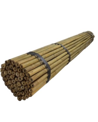 Bambu pinnar Natur 244cm Ø18/20 (100styck/bunt)